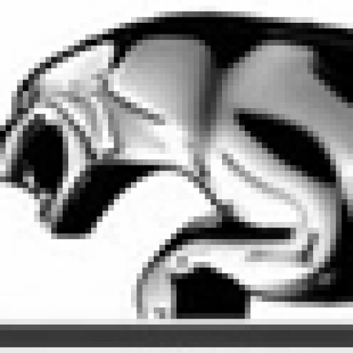 Jaguar JXS Autohimmel tapeziert - Sattlerei Pilz - Ihr Sattler aus